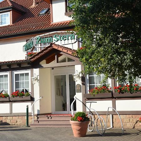 Parkhotel Zum Stern Oberaula Εξωτερικό φωτογραφία