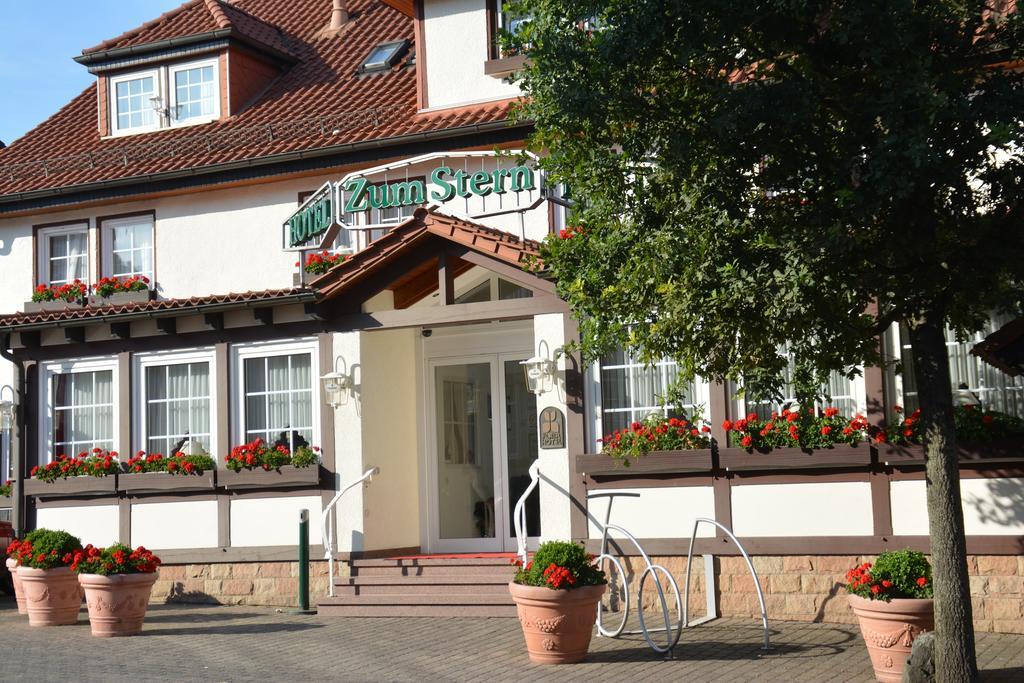 Parkhotel Zum Stern Oberaula Εξωτερικό φωτογραφία
